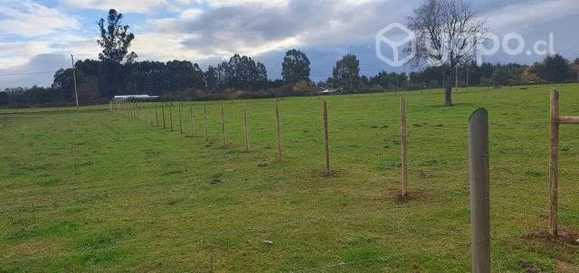 Parcela plana 5000 metros