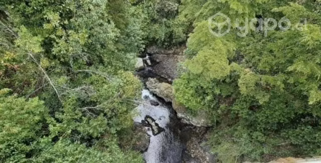 20 hectáreas de campo
