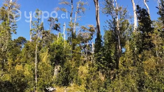 Terreno en puerto Varas