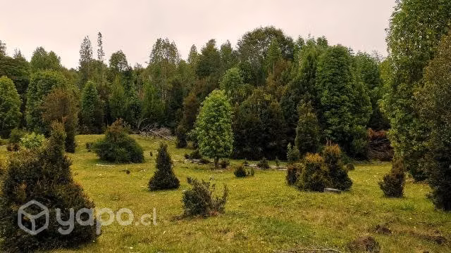 Terreno en puerto Varas