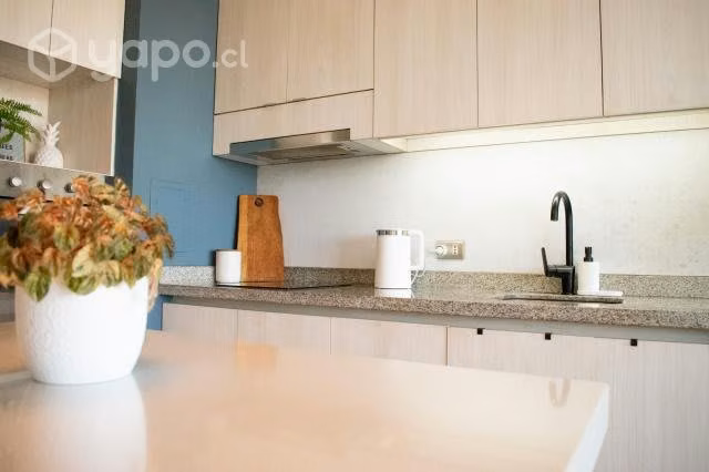 Céntrico Depto. 1 dormitorio - Barrio Cívico