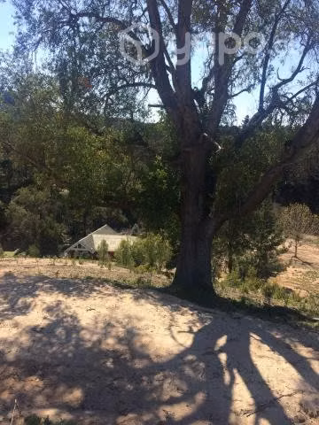 Hermosa parcela con abundante agua en Melosilla