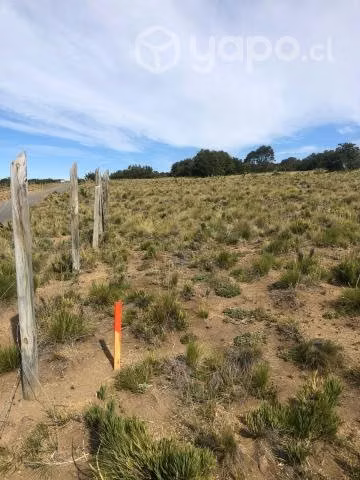 Parcela 5.000 mt2 - Imagen 3