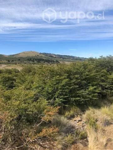 Parcela 5.000 mt2 - Imagen 6