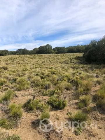 Parcela 5.000 mt2 - Imagen 5