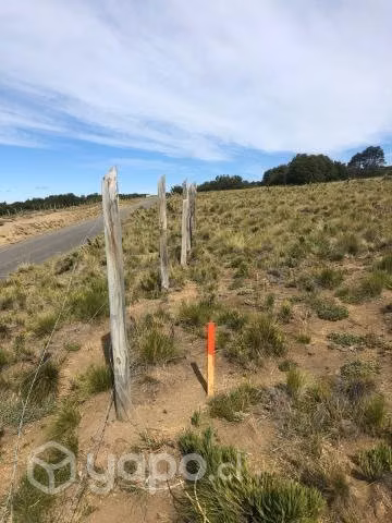 Parcela 5.000 mt2 - Imagen 4