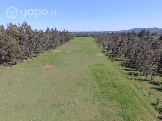 Parcela 5000m2, Los Angeles - Imagen 3