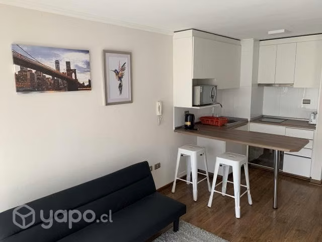 Dpto un dormitorio full amoblado