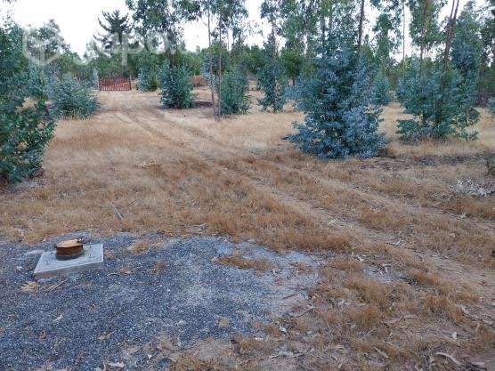 Parcela 5000m² - Imagen 2