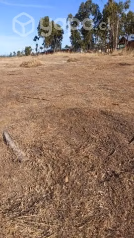 Venta de parcela Marchigue