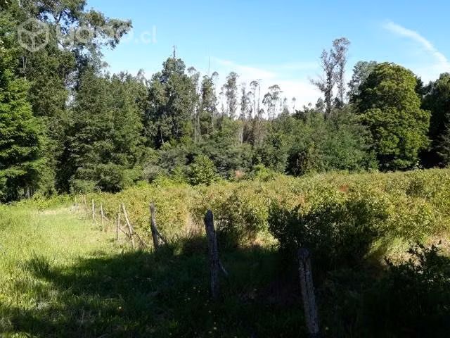 Se vende campo