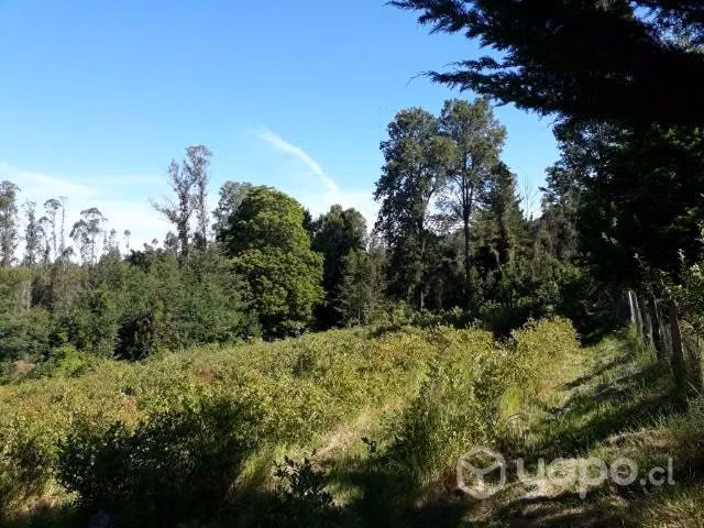 Se vende campo