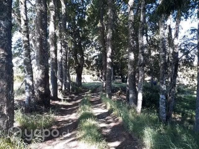 Se vende campo