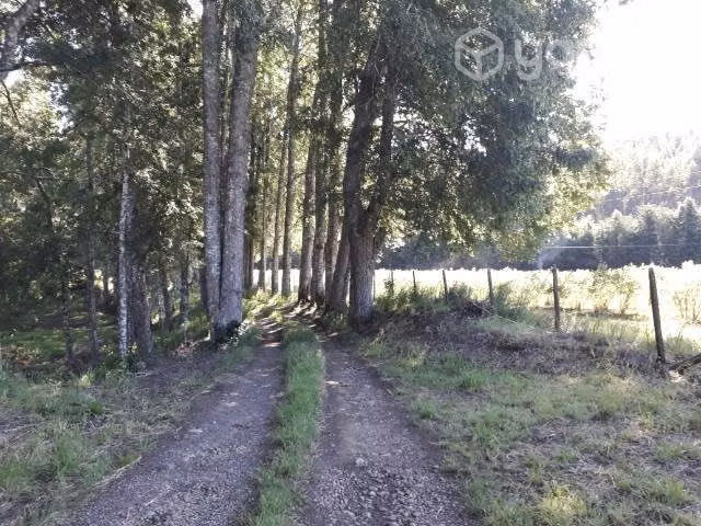 Se vende campo