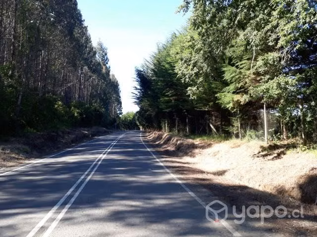 Se vende campo