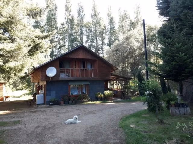 Se vende campo