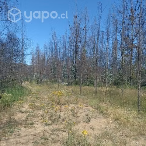 Terreno 9 hectáreas