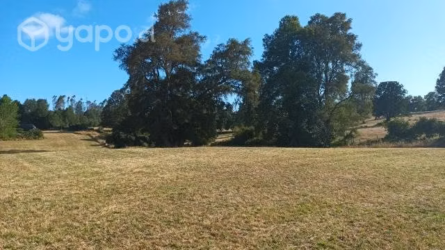 Terreno Panguipulli 42,5 ha - Imagen 2
