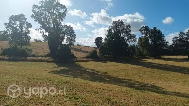 Terreno Panguipulli 42,5 ha - Imagen 3