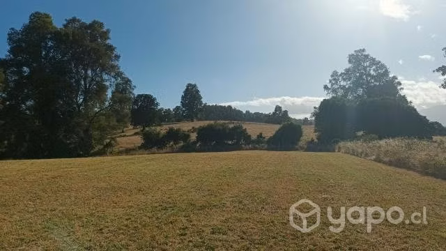 Terreno Panguipulli 42,5 ha - Imagen 5