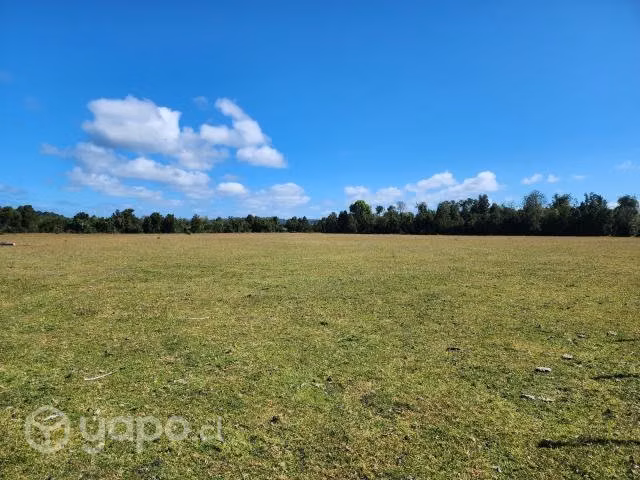 Terreno en venta 1.85 Hectareas