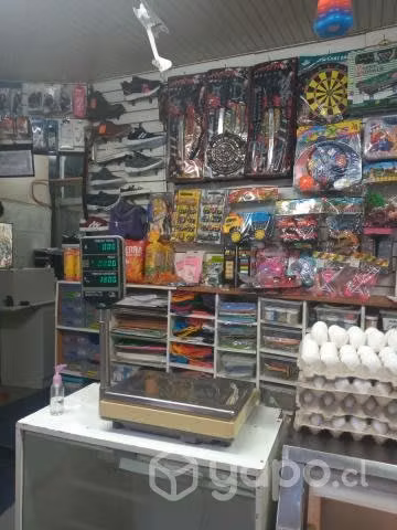 Vendo casa con negocio