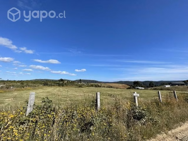 Vendo 1 hectarea, sector Comuna de los Muermos