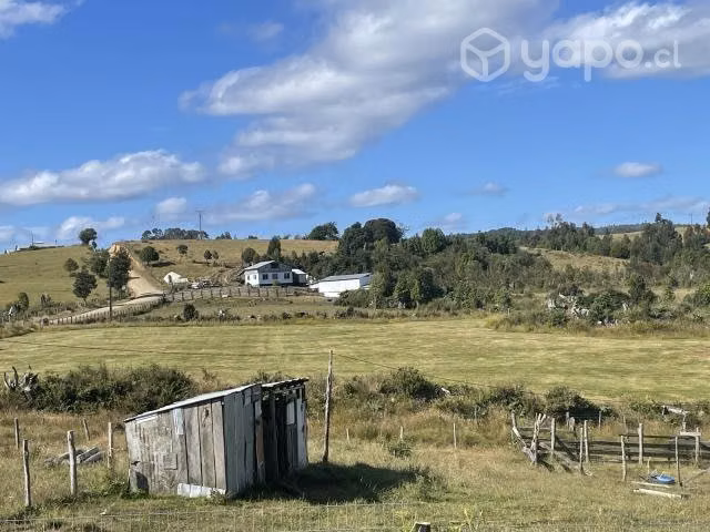 Vendo 1 hectarea, sector Comuna de los Muermos