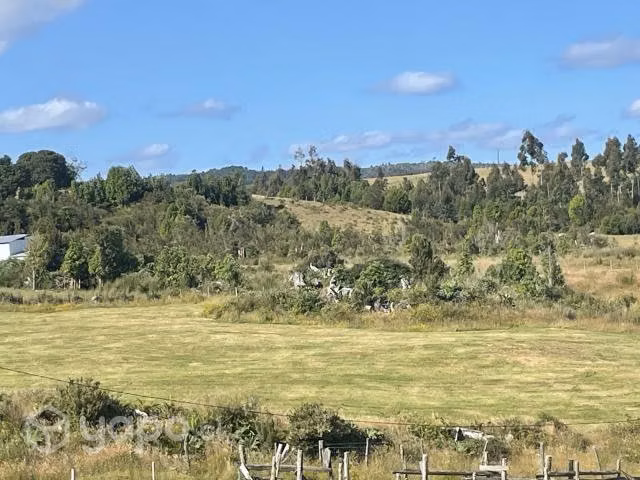 Vendo 1 hectarea, sector Comuna de los Muermos