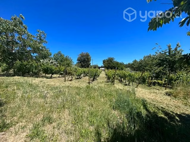 Parcela 4 hectáreas con casa y pozos Laja