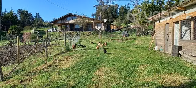 Parcela 4 hectáreas con casa y pozos Laja