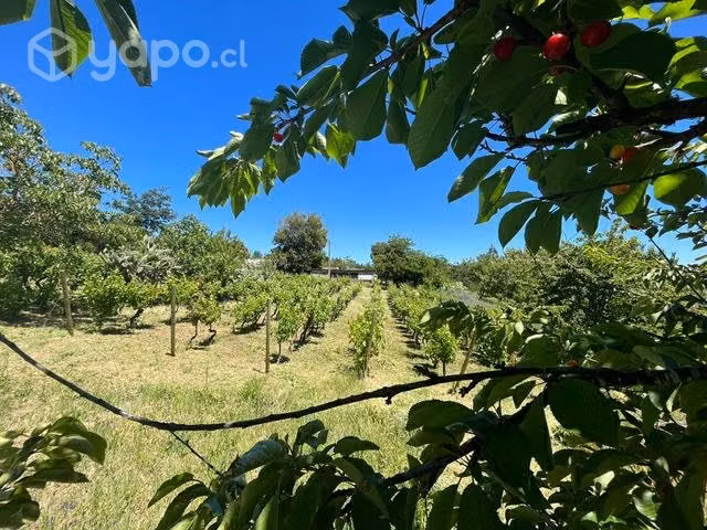 Parcela 4 hectáreas con casa y pozos Laja