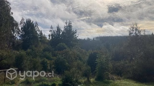 5.0000 mts de terreno en Los Álamos