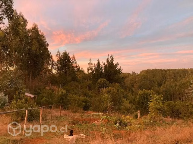 5.0000 mts de terreno en Los Álamos