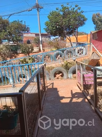 Arriendo departamento amoblado con negocio