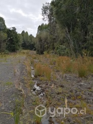 Vendo Parcela 5000 m2 Bosque 7 (N° 28) - Imagen 6