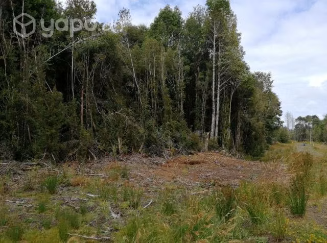 Vendo Parcela 5000 m2 Bosque 7 (N° 28) - Imagen 3