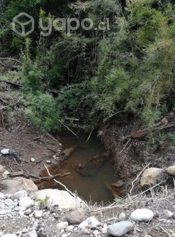 Vendo Parcela 5000 m2 Bosque 7 (N° 28) - Imagen 10