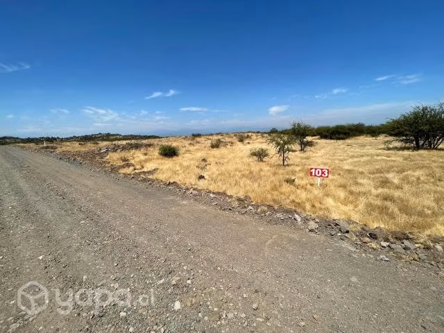 Parcelas en TENO - Imagen 8