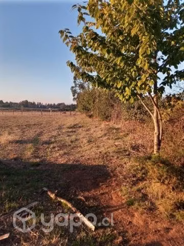 Terreno con agua potable luz