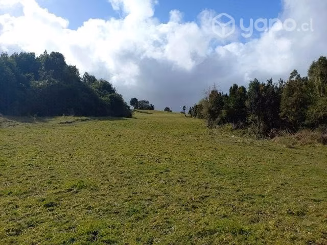 Parcela  en la region de los lagos