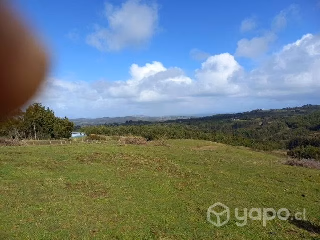 Parcela  en la region de los lagos