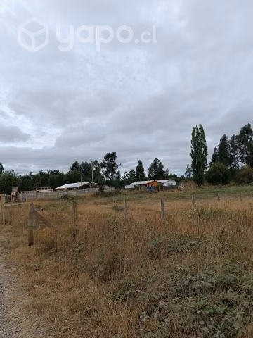 Sitio 700 mts2