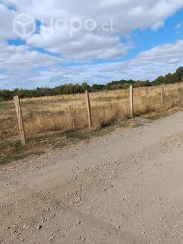 Sitio 700 mts2
