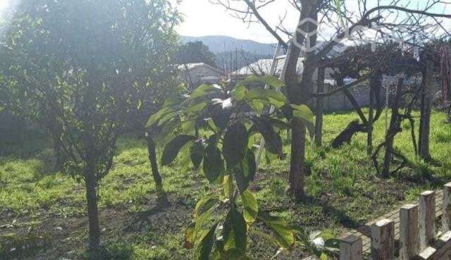 Vendo Casa en Quillón 4 dormitorios y 2 baños - Imagen 3