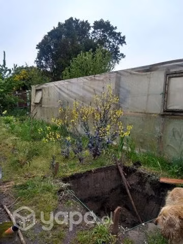 Se vende sitio en carelmapu