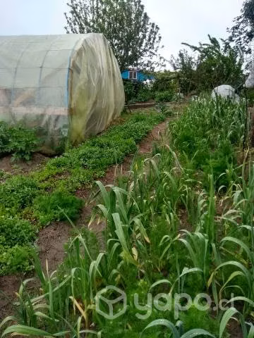 Se vende sitio en carelmapu