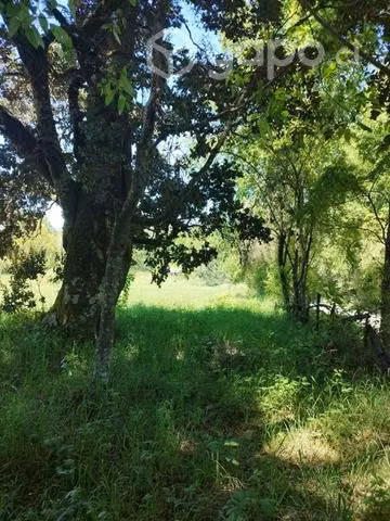 Parcela sector Ñancul (rol propio) - Imagen 5