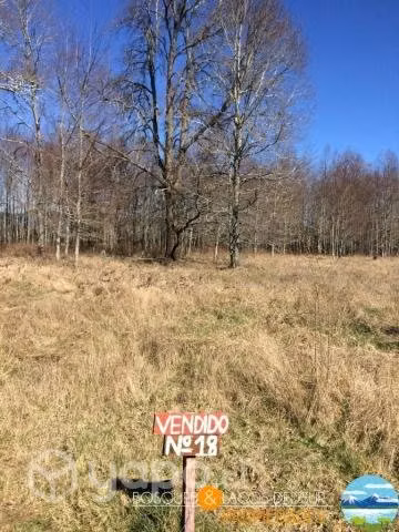Pucón Villarrica lotes 18 y 19 de 5.000 metros lef