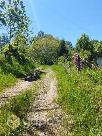 Parcela sector Ñancul (rol propio) - Imagen 2